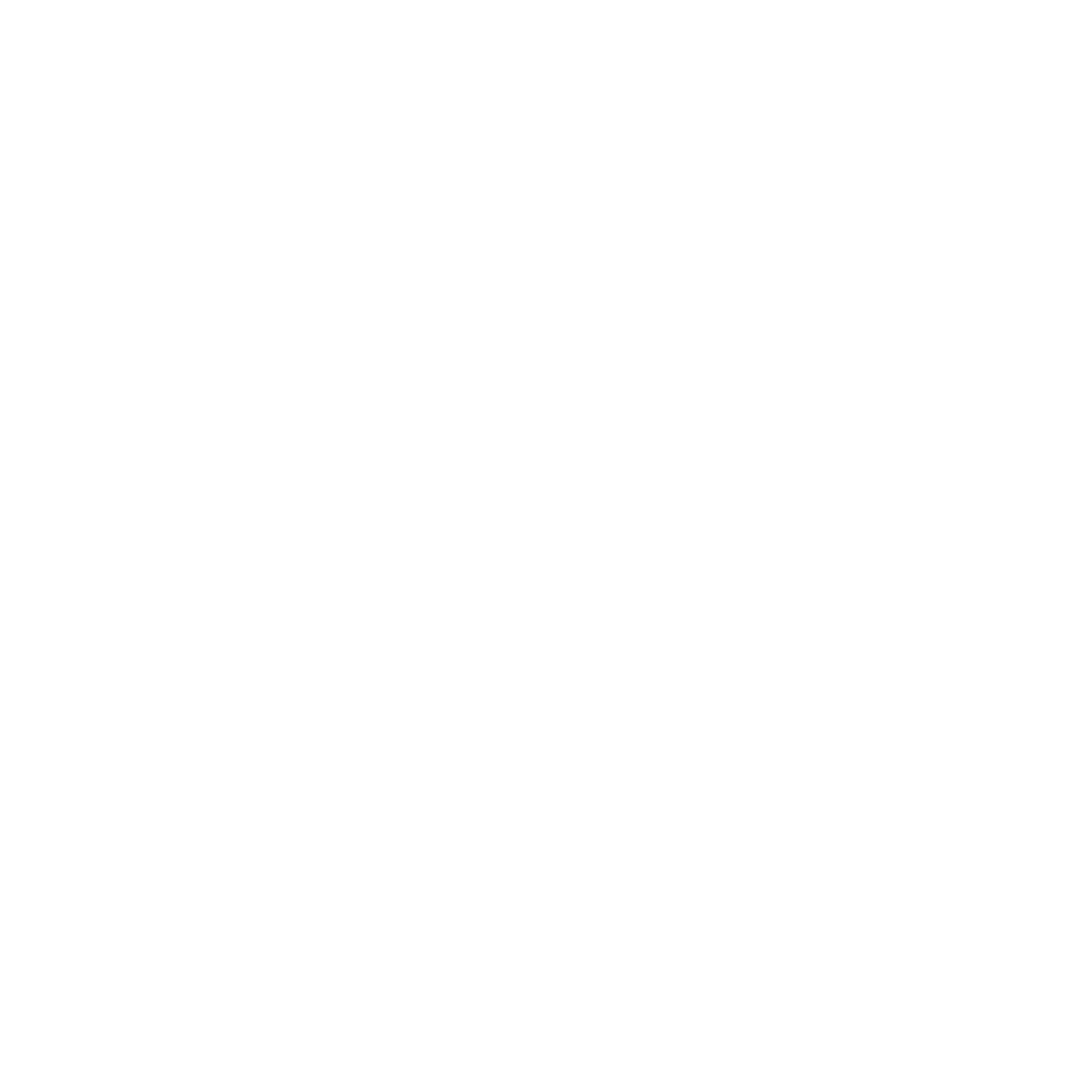 Supducks
